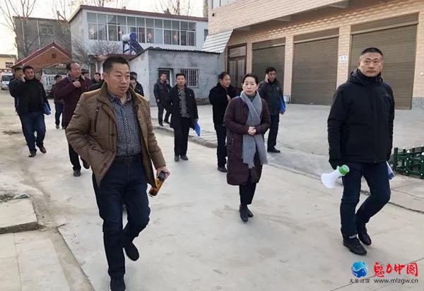 驿城区蚁蜂镇开展人居环境整治观摩评比活动