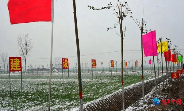 正阳县组织开展国土绿化和改善人居环境工作观摩活动